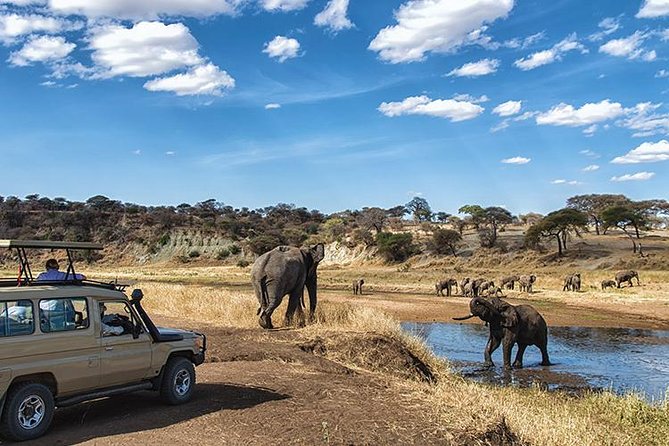 Serengeti Safari Expedition