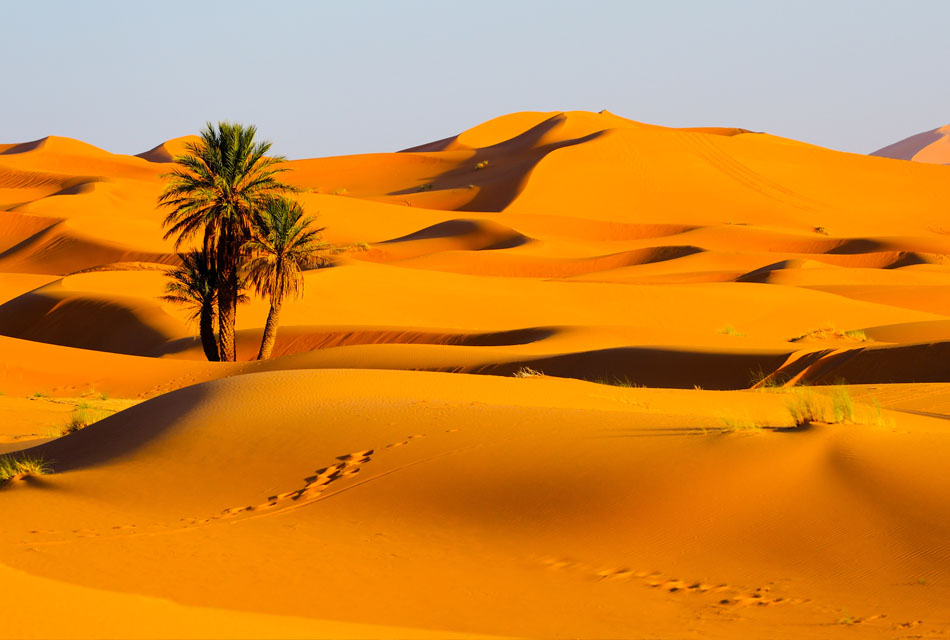 Moroccan Desert Crossing